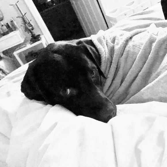 Meet your Posher, Laura - Picture 1 of 1